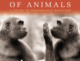 Secret Language of Animals