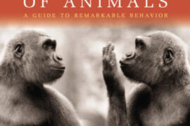 Secret Language of Animals