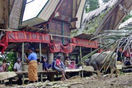 feast in Sulawesi
