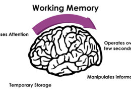 working memory
