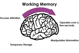working memory